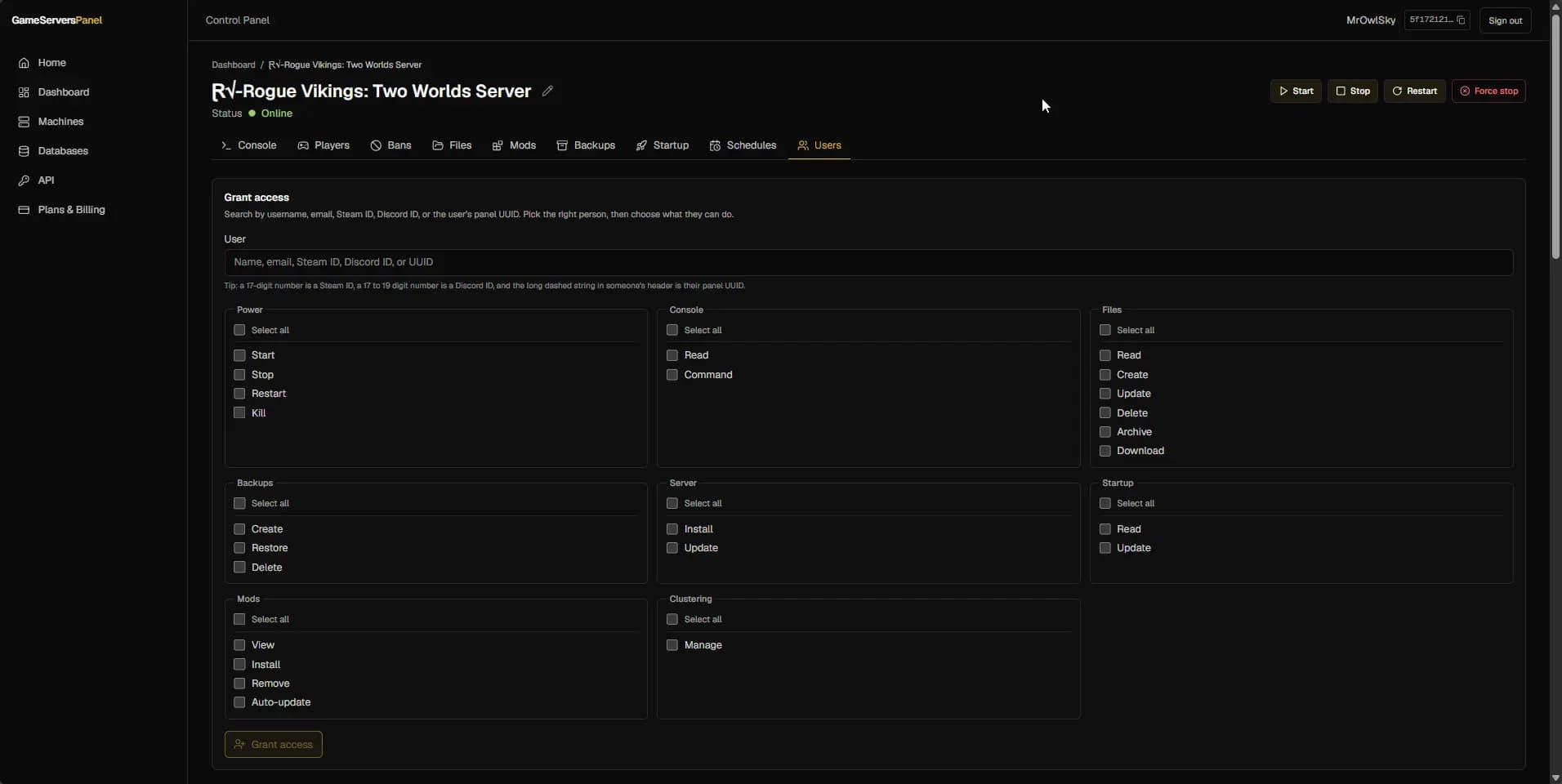 Role-based permission settings granting teammates scoped access to a server